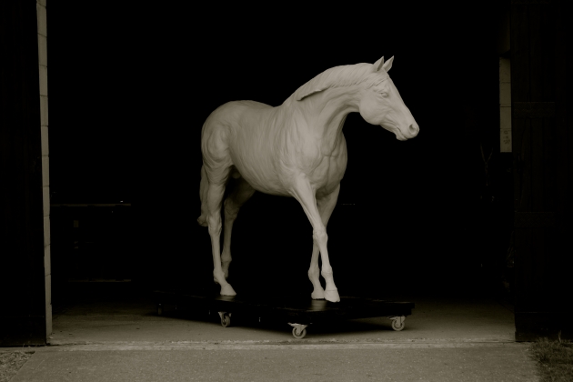Life-size walking stallion 