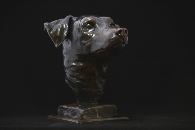 Jack Russell Bust